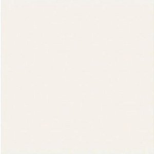 PORC.INCEPA MAXBLANC RET.90X90 CX 1,60