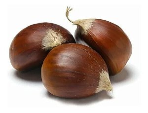 Castanha Portuguesa Crua In Natura 1kg