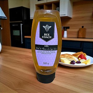 BISNAGA DE MEL DE FLORES DE CIPÓ UVA - 500g - 100% MEL PURO