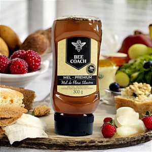 BISNAGA DE MEL DE FLORES SILVESTRES - 300g - 100% MEL PURO