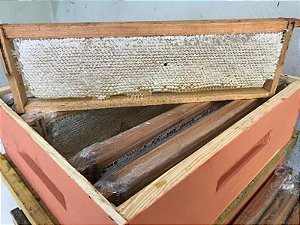 FAVO DE MEL IN NATURA - TELA COMPLETA