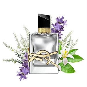 PLATINY (Libre Absolu Platine - YSL) - 15ml