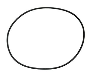 ANEL O'RING P/ BOMBA PISCINA PF-17 156,70x163,76x3,53 DANCOR 60700142P