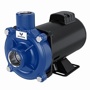 MOTOBOMBA CENTRÍFUGA GOL-005 1CV M 60Hz 110/220V SCHARPIA