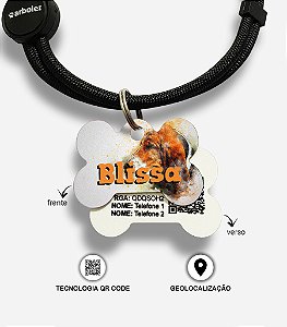 Plaquinha de identificação para cães - Basset Hound
