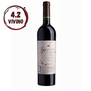 Vinho Paya De Millaman Cabernet Sauvignon Tinto 2015 750 ml