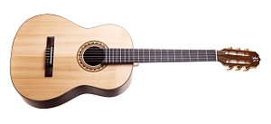 VIOLAO  CLASSICO STUDIO FOSCO NYLON - ROZINI
