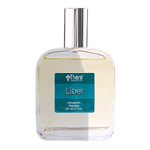 Liber de Thera Cosméticos | Yves Saint Laurent |