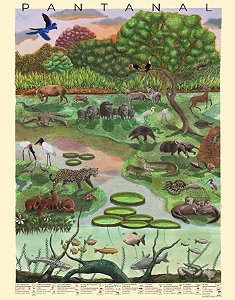 Pôster Pantanal