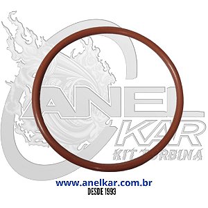 Anel Oring Viton Central CT20 | CT12 | CT12A  |  CT9  |  CT12E - Toyota Hilux 2.5 e 3.0 Pit Bul