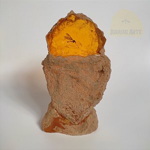 Âmbar Jurassic Park 1993