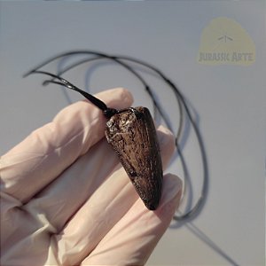 Colar Dente Dinossauro Tiranossauro Rex