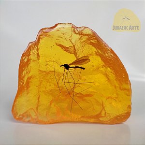 Âmbar Jurassic Park Mosquito