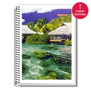 CADERNETA ESPIRAL CAPA FLEXIVEL PANAMERICANA