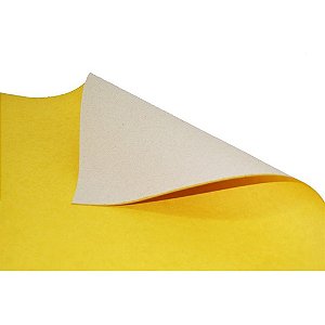 PAPEL CARTÃO FOSCO 47X66CM