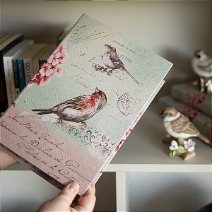Livros-Caixa Decorativos Birds P