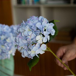 Flor Hortênsia Azul