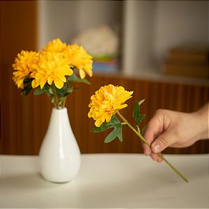 Flor Peônia Amarela