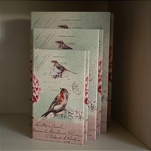 Livros-Caixa Decorativos Birds M