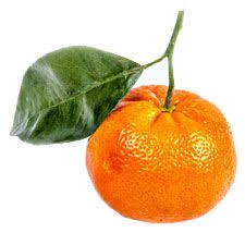 Mandarina verde Óleo
