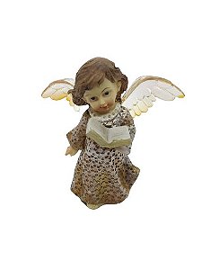 Anjo Luminária Com Bíblia