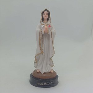 Nossa Senhora Rosa Mística -15cm