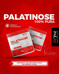 Palatinose 100% Pura 300g - R74 PREMIUM