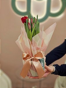 Tulipa Decorada