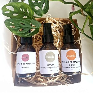 Kit 3 mini Perfumes de Ambientes