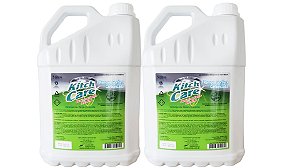 Kitch Care 2 Detergentes Desincrustantes Alcalino – 5 Litros