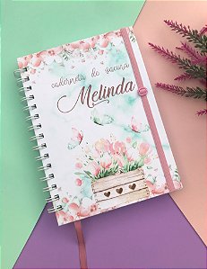 Caderneta de Saúde Plus