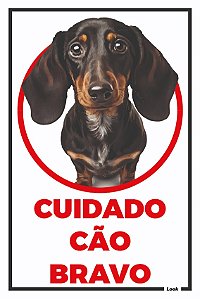 Placa Sinalização Pet Cuidado Cão Bravo Basset Hound