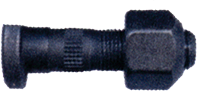 Conjunto de Parafuso de Roda Dianteira Agrale