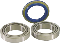 Kit de Rolamento de Roda Traseira Besta