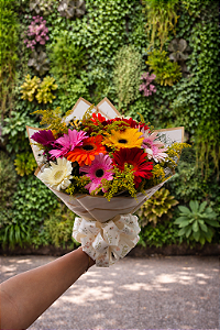 Buque Flores do Campo