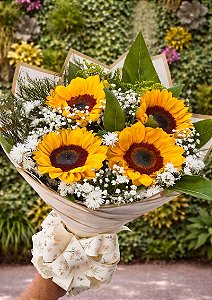 Buque de 4 Girassóis