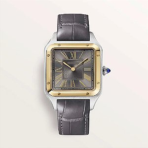 - Cartier Relógio Santos Dumont W2SA0028