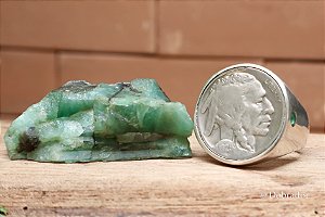 Chevalier Buffalo Nickel