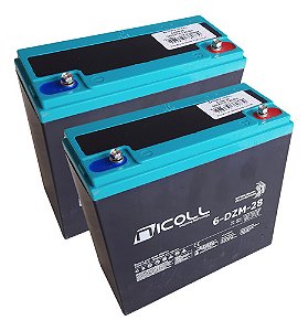 Kit 2 Baterias Electro Bike Eb 008 12v 28ah 6-dzm-28