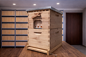 Colmeia Automática Mauá c/ 3 Autoframes