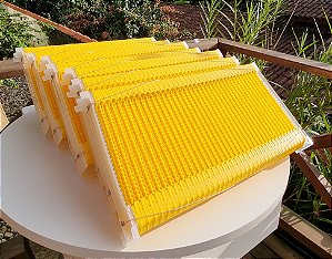 7 Quadros Iraí - Autoframes/Automáticos