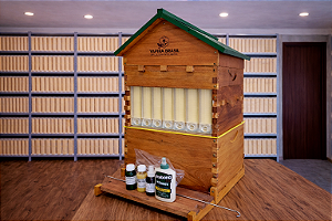 Colmeia Automática Iraí c/ 7 Autoframes