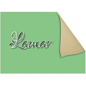 PAPEL CARTAO FOSCO VERDE CLARO 48x66 CM PACOTE COM 20 FOLHAS LAMAR
