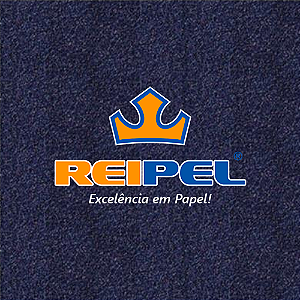 PAPEL CAMURÇA AZUL COBALTO 60X40 CM 25 FOLHAS REIPEL