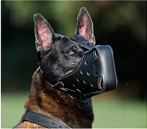 Focinheira de Combate