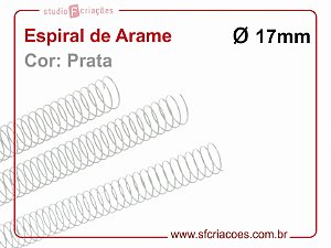 Espiral de Arame 17mm - Prata - 10 unidades