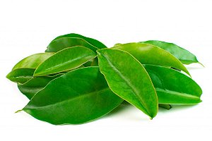 Ora-pro-nóbis molho 120 g