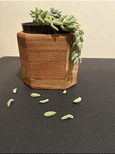 Cachepô ou Cachepot em madeira (10)