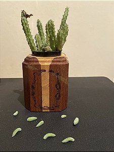 Cachepô ou Cachepot em madeira (09)