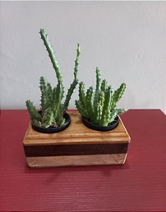 Cachepô ou Cachepot em madeira (31)